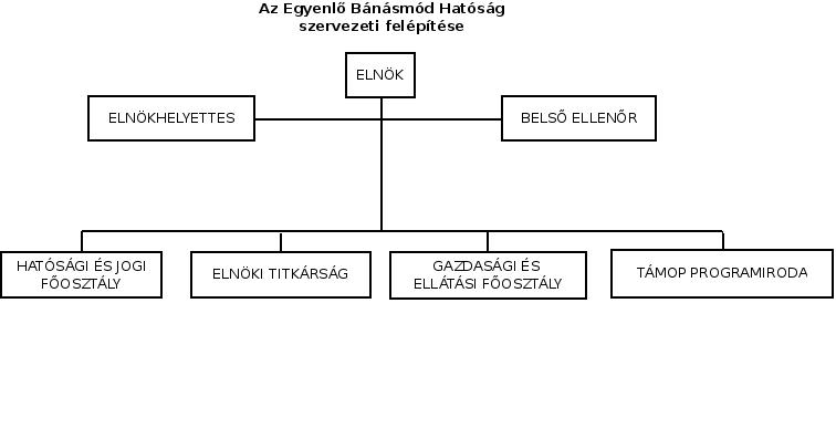 Szervezeti struktúra